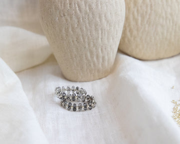 Silver Belgrey
